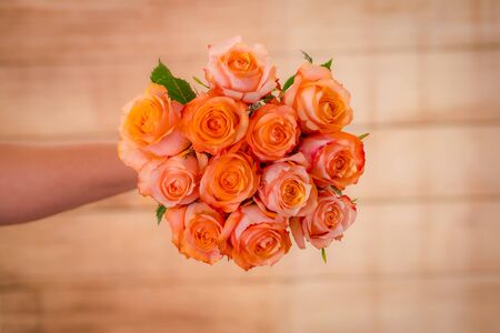 Women hand holding a bouquet of peach Twilight roses variety, studio shot. High quality photoの写真素材