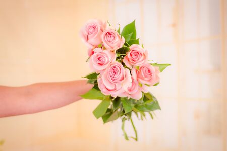 Women hand holding a bouquet of Luciano roses variety, studio shot.の写真素材