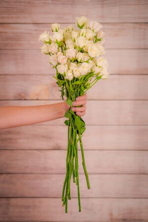 Women hand holding a bouquet of White Majolica roses variety, studio shot, white flowers. Spray rosesの写真素材