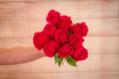 Women hand holding a bouquet of classic Explorer roses variety, studio shot.の写真素材