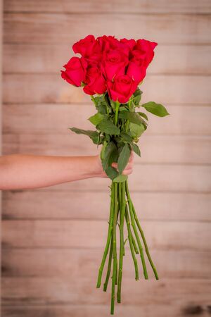 Women hand holding a bouquet of Hot Explorer roses variety, studio shot.の写真素材