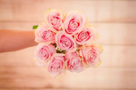 Women hand holding a bouquet of Pink Mondial roses variety, studio shot, pink flowersの写真素材