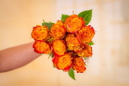 Women hand holding a bouquet of News Flash roses variety, studio shot.の写真素材