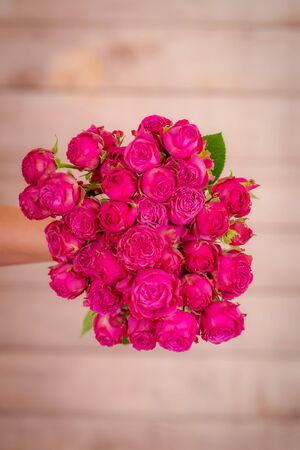 Women hand holding a bouquet of Classic Sensation roses variety, studio shot.の写真素材