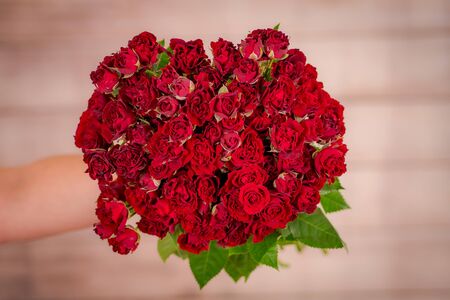 Women hand holding a bouquet of Butterfly Sensation roses variety, studio shot.の写真素材