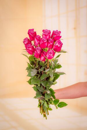 Women hand holding a bouquet of Moody Blues roses variety, studio shot.の写真素材