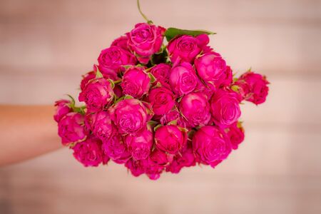 Women hand holding a bouquet of Classic Sensation roses variety, studio shot.の写真素材