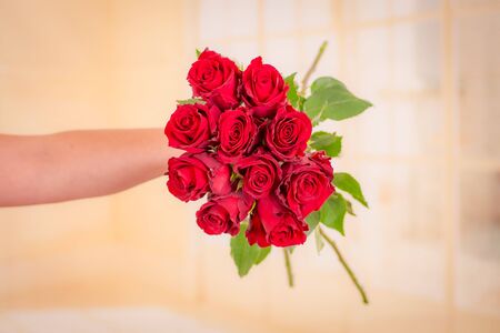 Women hand holding a bouquet of Hot Spot roses variety, studio shot.の写真素材