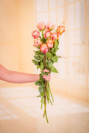 Women hand holding a bouquet of peach Twilight roses variety, studio shot.の写真素材