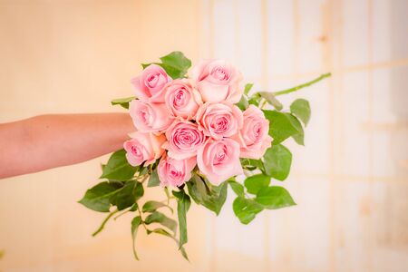 Women hand holding a bouquet of Luciano roses variety, studio shot.の写真素材