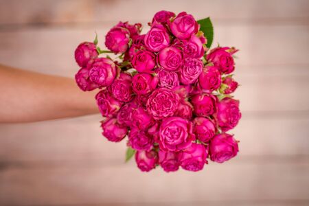 Women hand holding a bouquet of Classic Sensation roses variety, studio shot.の写真素材
