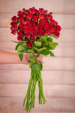 Women hand holding a bouquet of Butterfly Sensation roses variety, studio shot. High quality photoの写真素材