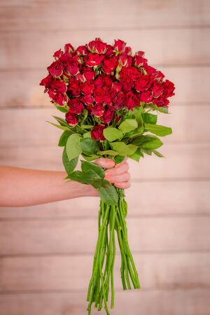 Women hand holding a bouquet of Butterfly Sensation roses variety, studio shot. High quality photoの写真素材