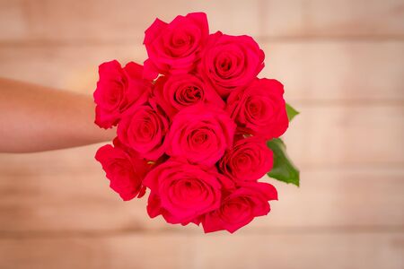Women hand holding a bouquet of classic Explorer roses variety, studio shot.の写真素材