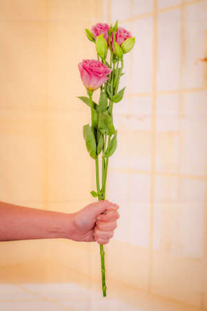 A bouquet of Pink Lisianthus Summer flower variety, studio shot, pink flowers. High quality photoの写真素材