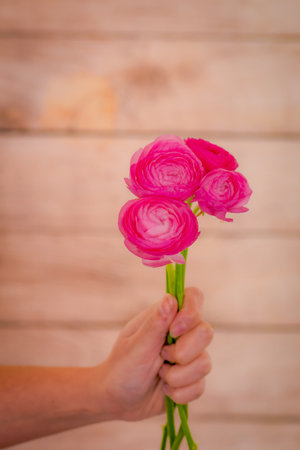 A bouquet of Pink Mondial roses variety, studio shot, pink flowers. High quality photo