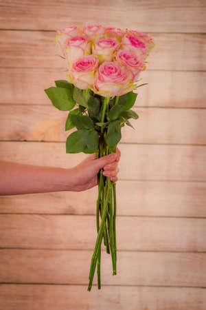 Close up of a bouquet of Esperance roses variety, studio shot, pink flowersの写真素材