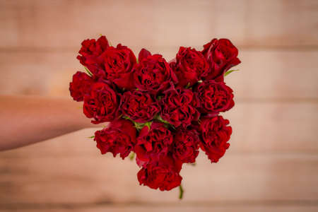 Women hand holding a bouquet of Hearts Garden roses variety, studio shot, red flowersの写真素材