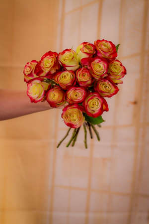 Women hand holding a bouquet of Her Majestic roses variety, studio shot, dual tone flowersの写真素材