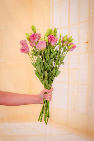 Women hand holding a bouquet of Pink Lisianthus Summer flower variety, studio shot, pink flowersの写真素材