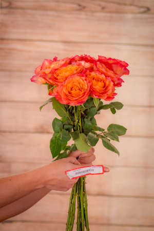 A bouquet of Free Spirit roses variety, studio shot, orange flowers. High quality photoの写真素材