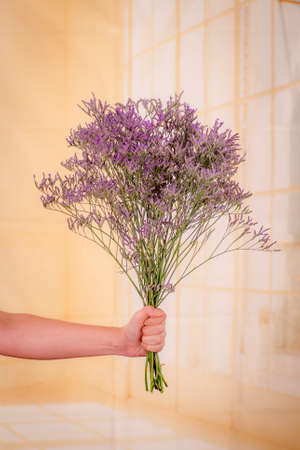A bouquet of Limonium Maine Blue Foliage variety, studio shot, purple flowers. High quality photoの写真素材