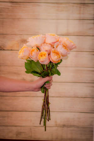 Women hand holding a bouquet of Campanella Garden roses variety, studio shot, peach flowersの写真素材