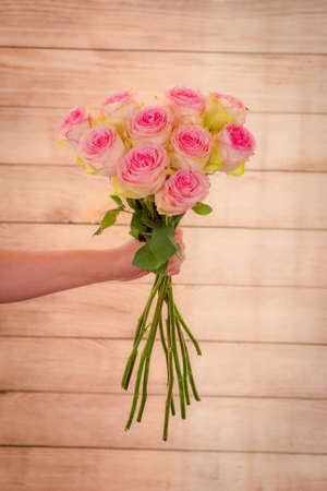Women hand holding a bouquet of Esperance roses variety, studio shot, pink flowersの写真素材