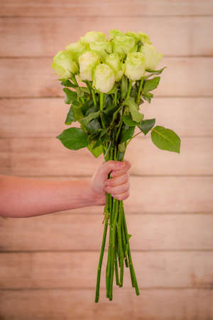 Women hand holding a bouquet of Wasabi roses variety, studio shot, green flowersの写真素材