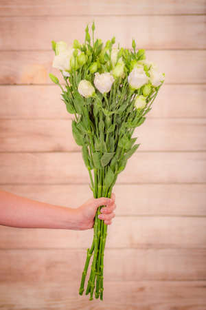 Women hand holding a bouquet of Pink Mondial roses variety, studio shot, pink flowersの写真素材