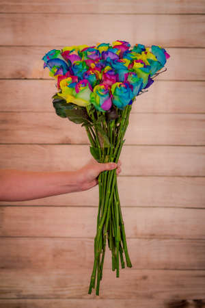 Women hand holding a bouquet of Tinted Rainbow roses variety, studio shot, multicolored flowersの写真素材