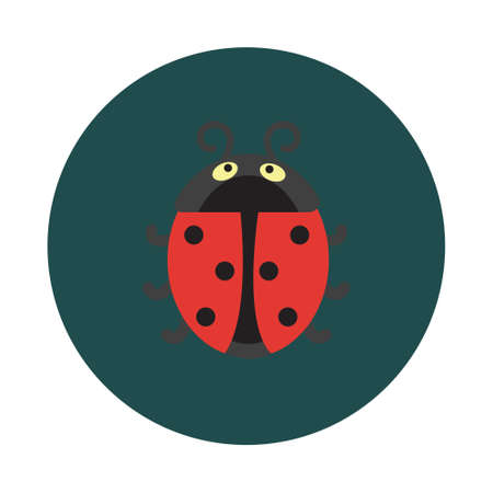 Flat Lady bug on white background iconのイラスト素材