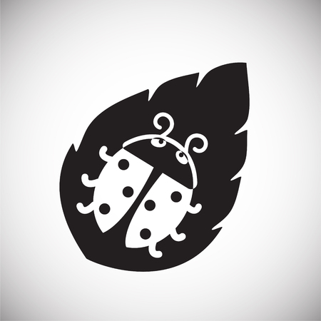 Lady bug on white background iconのイラスト素材