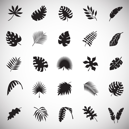 Tropic leafs icons set on white background for graphic and web design, Modern simple vector sign. Internet concept. Trendy symbol for website design web button or mobile appのイラスト素材