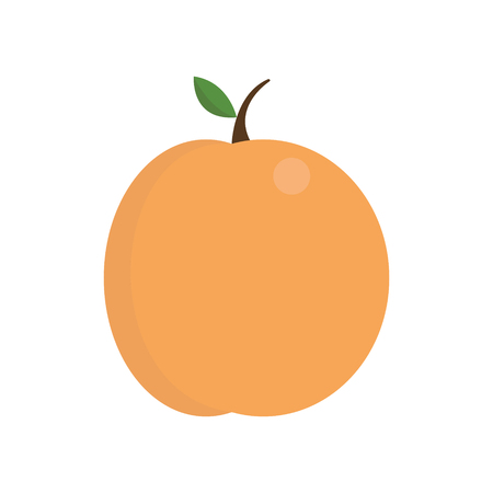 Peach icon on white background for graphic and web design, Modern simple vector sign. Internet concept. Trendy symbol for website design web button or mobile appのイラスト素材