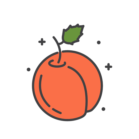 Peach icon on white background for graphic and web design, Modern simple vector sign. Internet concept. Trendy symbol for website design web button or mobile appの写真素材
