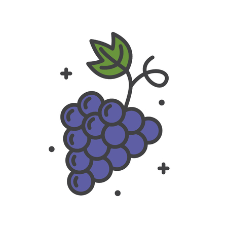 Grape line icon on white background for graphic and web design, Modern simple vector sign. Internet concept. Trendy symbol for website design web button or mobile appの写真素材