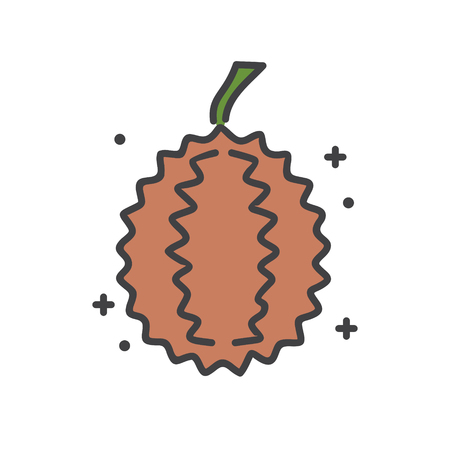 Durian icon on white background for graphic and web design, Modern simple vector sign. Internet concept. Trendy symbol for website design web button or mobile appの写真素材