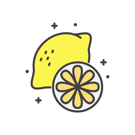 Lemon icon on white background for graphic and web design, Modern simple vector sign. Internet concept. Trendy symbol for website design web button or mobile appの写真素材