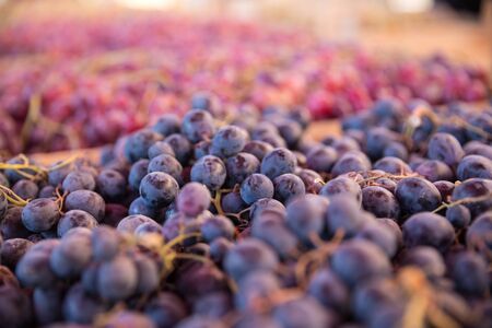 Photo of fresh grapes at Tbilisi bazaarの写真素材