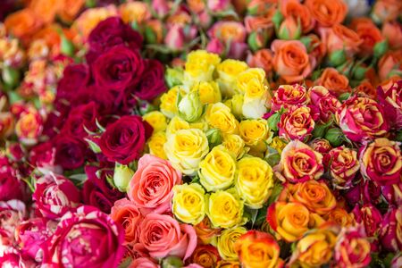 Photo of flower bazaarの写真素材
