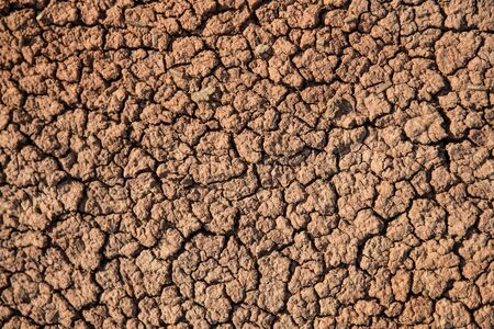 Cracked earth background. Close up cracked earth background.の写真素材