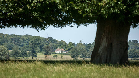 A traditional English country house surrounded by a forest and nestled in  a rural countryside setting on a bright summerのeditorial素材