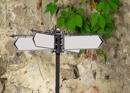 empty road sign against the wall with wild leavesの写真素材
