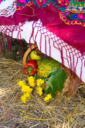 still life with vegetables and flowers shawlの写真素材