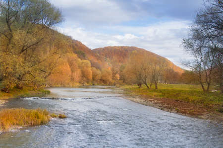 fast river in autumn forest with yellowed treesの写真素材