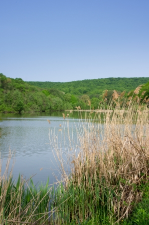 wild lake in the mountains with thick forestの写真素材