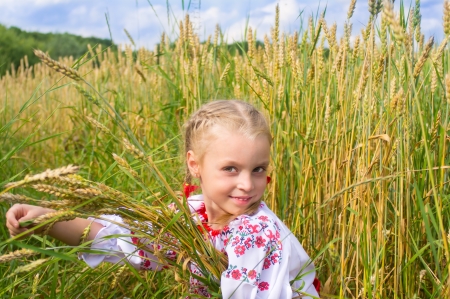 portrait of a girl on a wheat field close up の写真素材