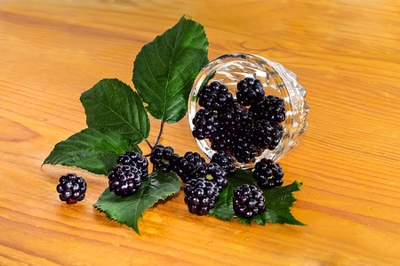 Fresh ripe blackberries tumbled out on a wooden surfaceの写真素材