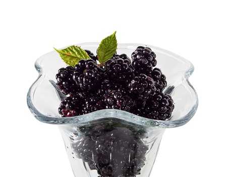 blackberries close-upの写真素材